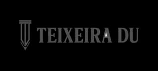 Teixeira Duarte