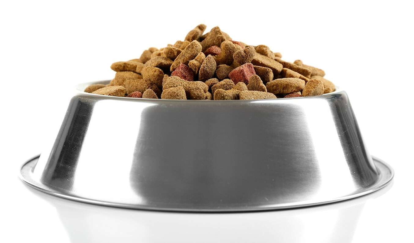 A silver bowl filled with dry pet food against a white background.