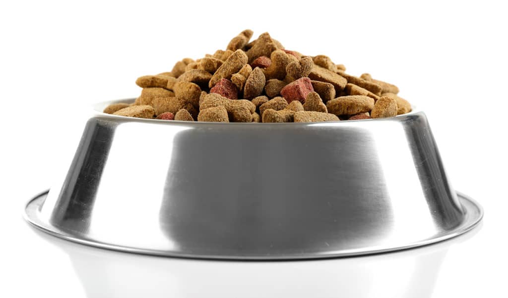 dogfood
