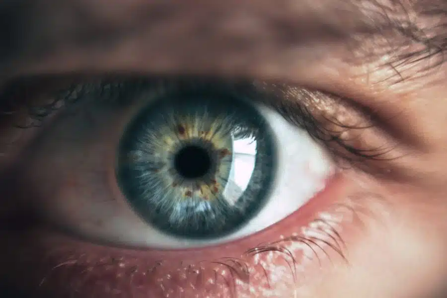 Close-up of a blue-green eye with a detailed view of the iris and surrounding eyelid.